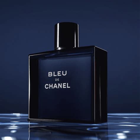 bleau de chanel smells like|bleu De Chanel cheap alternative.